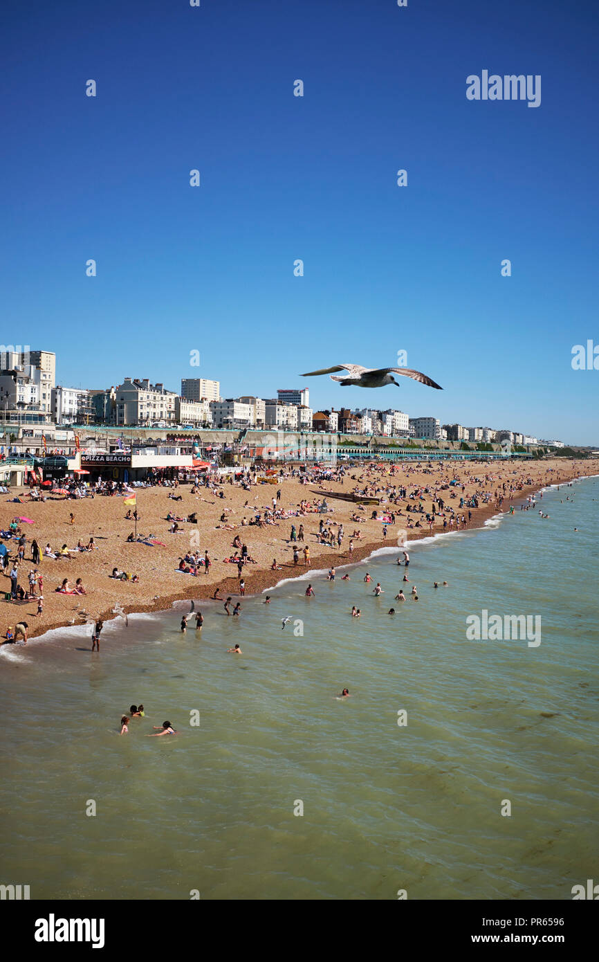 La plage de Brighton et le front de mer à la Marina vers de la jetée. Brighton Sussex England UK Banque D'Images