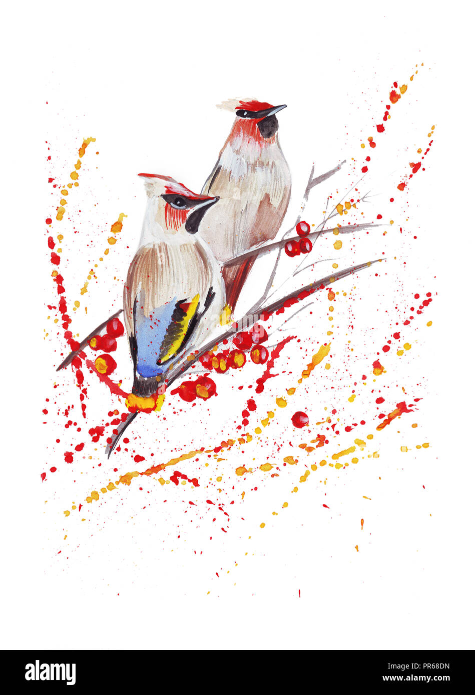 Différents oiseaux colorés de différentes races : chickadee, colibris, perroquets et les jaseurs Banque D'Images