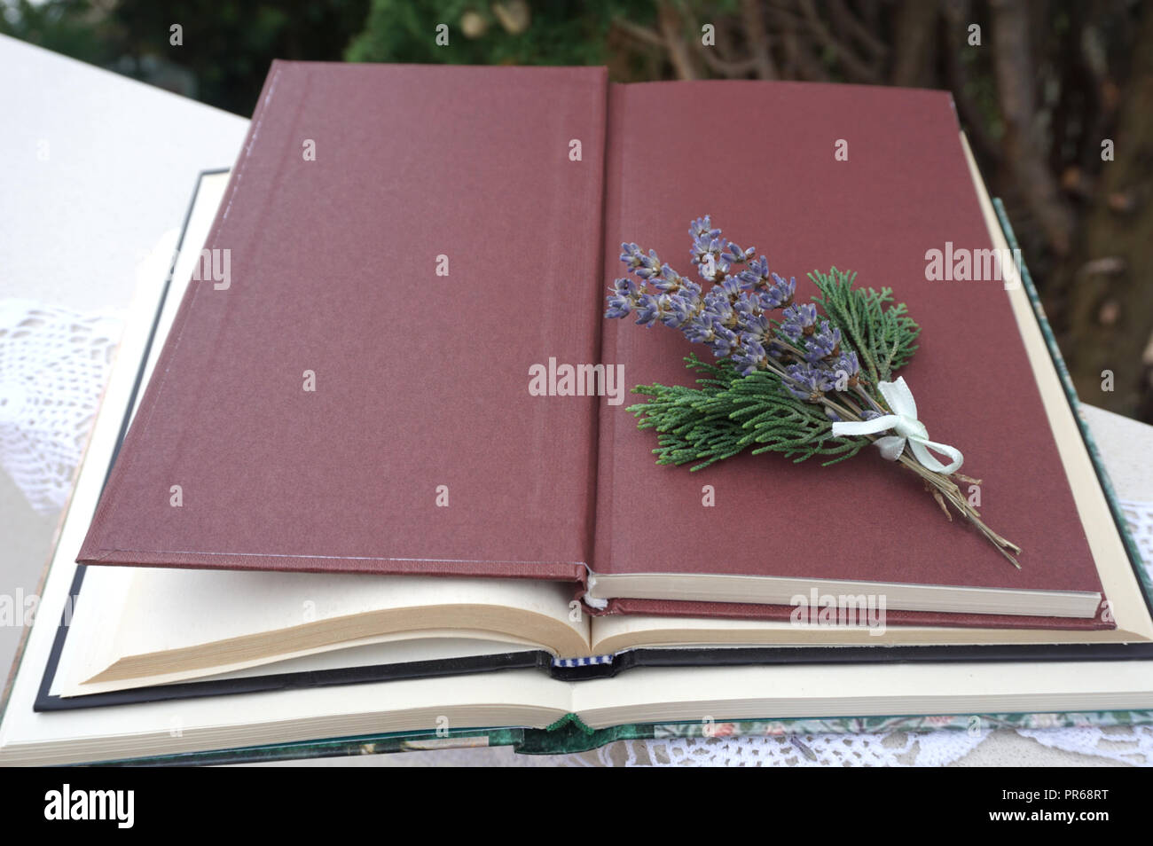 Bouquet de fleurs de lavande lilas et une branche de cyprès vert sur la couverture du livre ouvert Banque D'Images