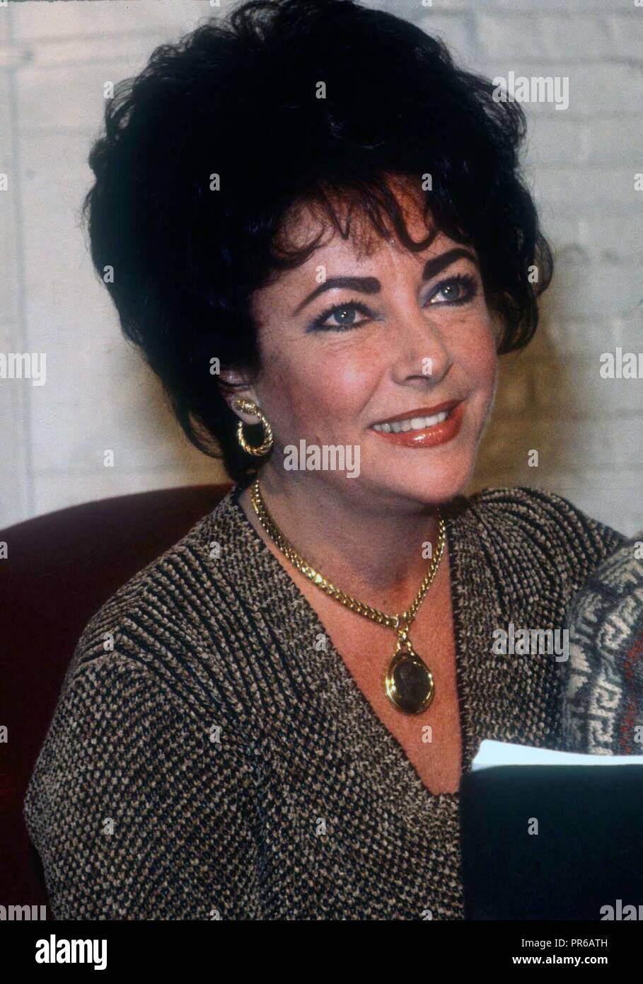 Liz Taylor1419.JPG Celebrity Archéologie 1981 Liz Taylor Photo par Adam Scull/PHOTOlink/MediaPunch Banque D'Images