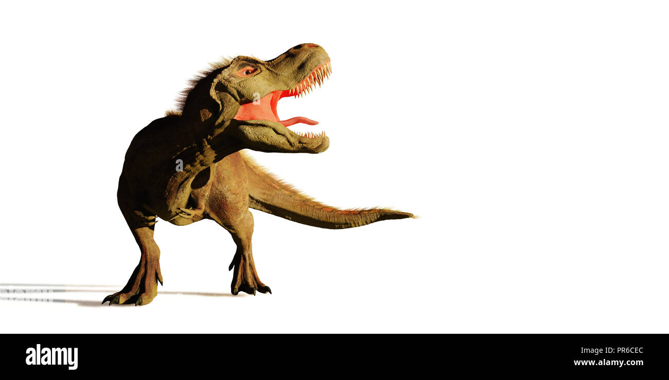 Tyrannosaurus rex rugissant, T Rex dinosaure (3d illustration isolé sur fond blanc) Banque D'Images