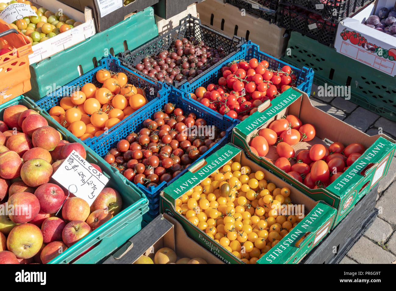 Le décrochage du marché Ludlow greengrocery vente composé de différentes variétés de tomates et de pommes de couleur dans un affichage coloré, Ludlow, Shropshire, Angleterre Banque D'Images