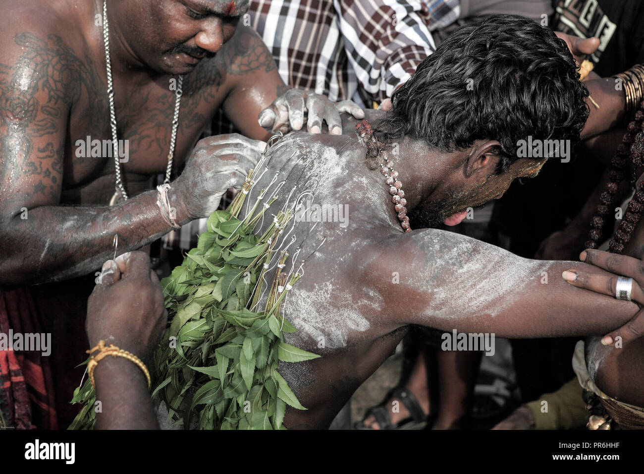 L'homme hindou ayant percé retour en arrière pendant Thaipusam festival à Batu Caves, Malaisie Banque D'Images