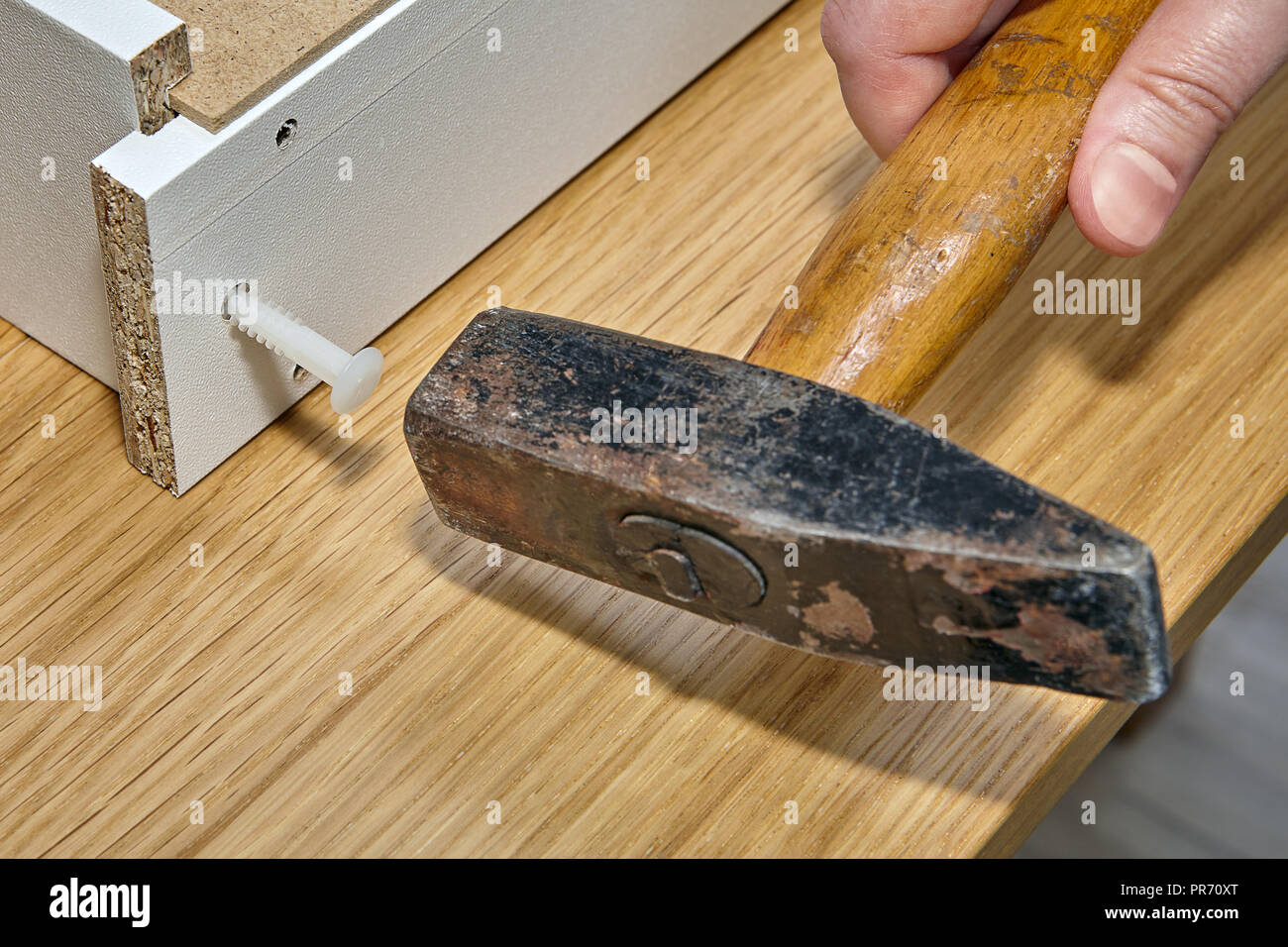 Carpenter utilise un marteau de fer à la broche une cheville en plastique dans le trou de l'aggloméré de bois lors de l'assemblage de meubles. Banque D'Images