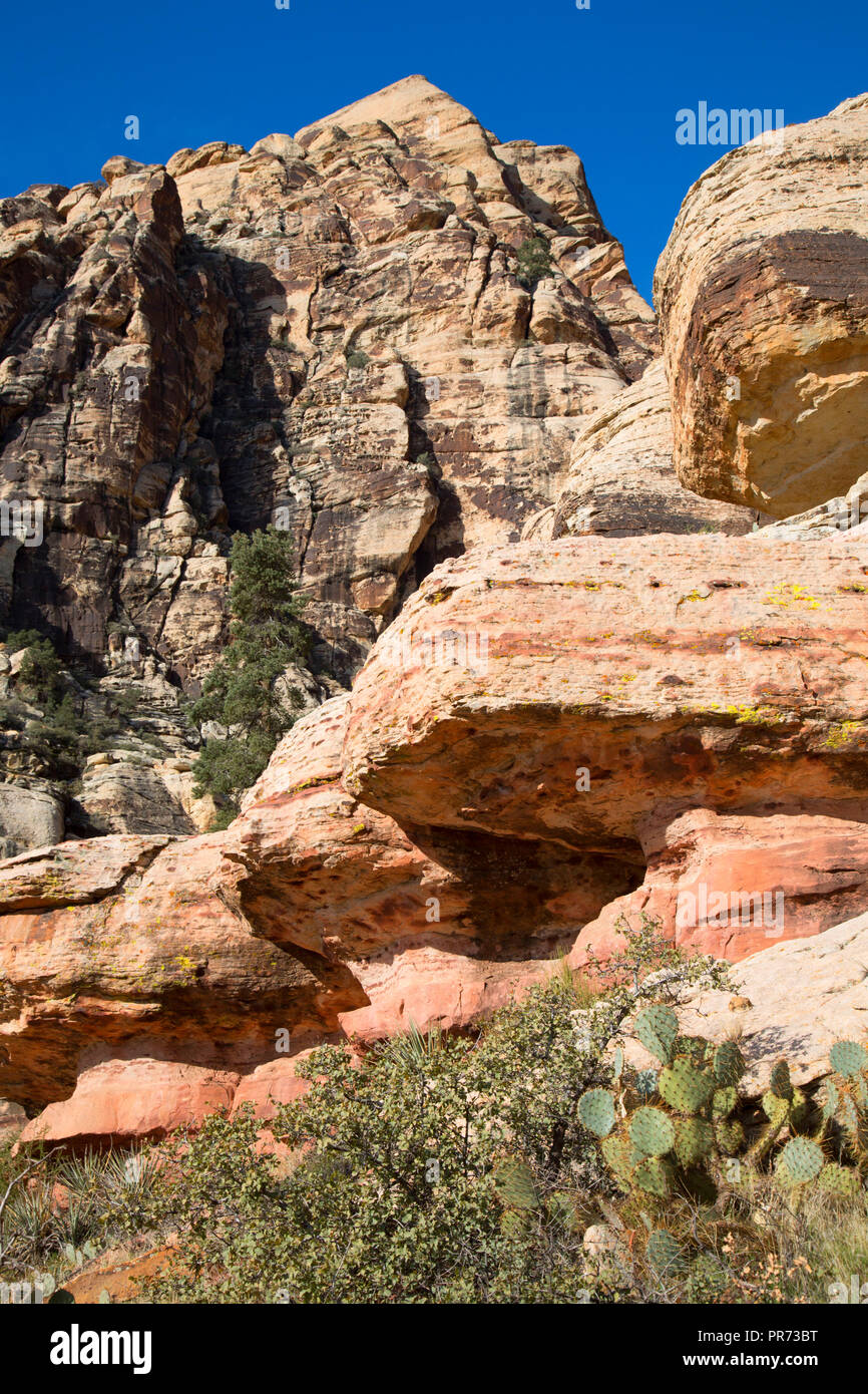 Abri rocheux le long du sentier perdu, Red Rock Canyon National Conservation Area, Nevada Banque D'Images
