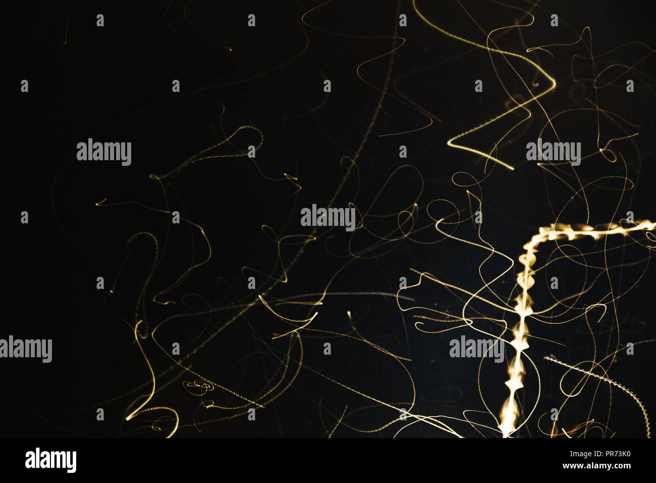 Une longue exposition de droit de papillons voler vers une source de lumière Banque D'Images