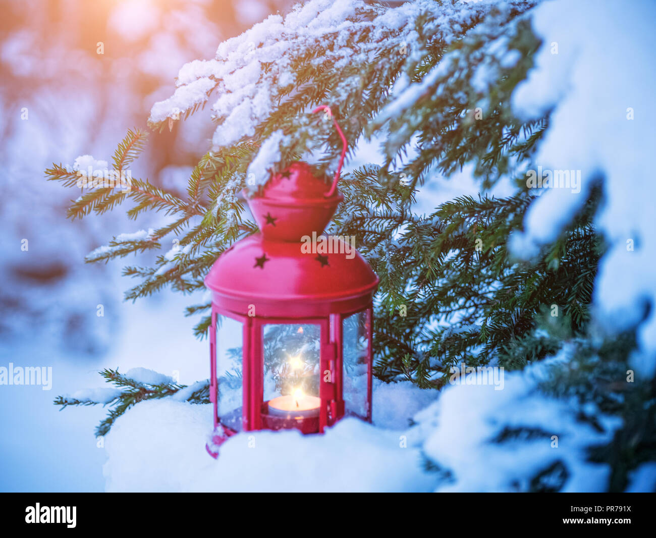 Noël lanterne sur les branches de sapin avec de la neige Banque D'Images Noël lanterne sur les branches de sapin avec de la neige Banque D'Images