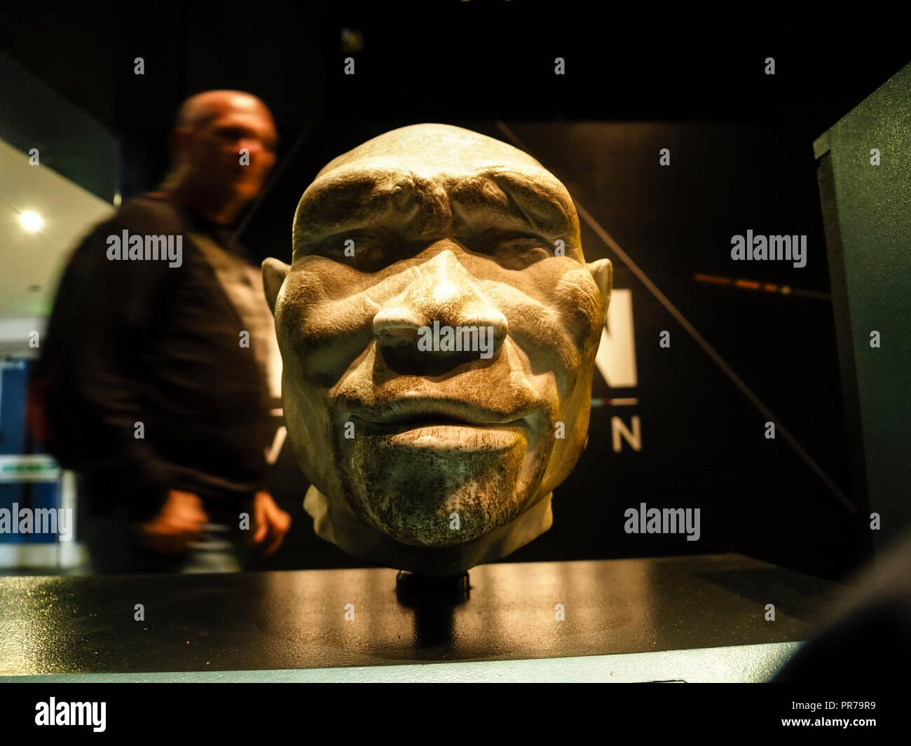 Homo Erectus Banque D'Images