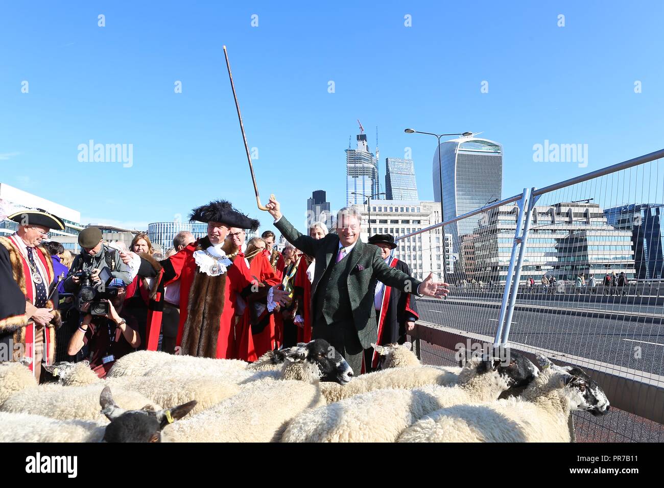 ALAN TITCHMARSH DURS MOUTONS 2018 Banque D'Images