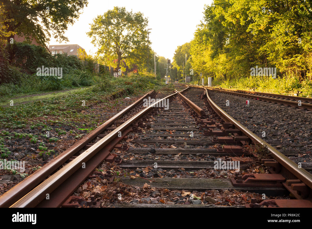 Commutateur de fer dans la lumière du matin Lieu : Allemagne, Rhénanie du Nord-Westphalie Banque D'Images Commutateur de fer dans la lumière du matin Lieu : Allemagne, Rhénanie du Nord-Westphalie Banque D'Images