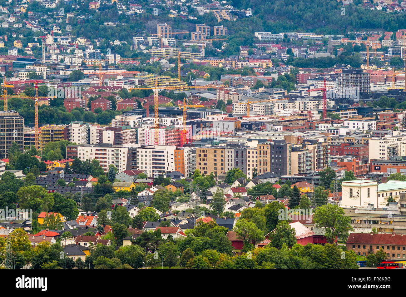 Loren- partie à croissance rapide d'Oslo, Norvège. Banque D'Images