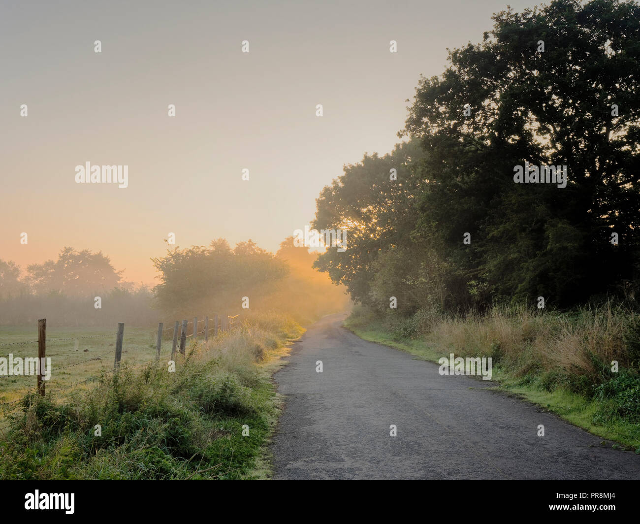 Misty Morning, Fyfield, Oxfordshire Banque D'Images