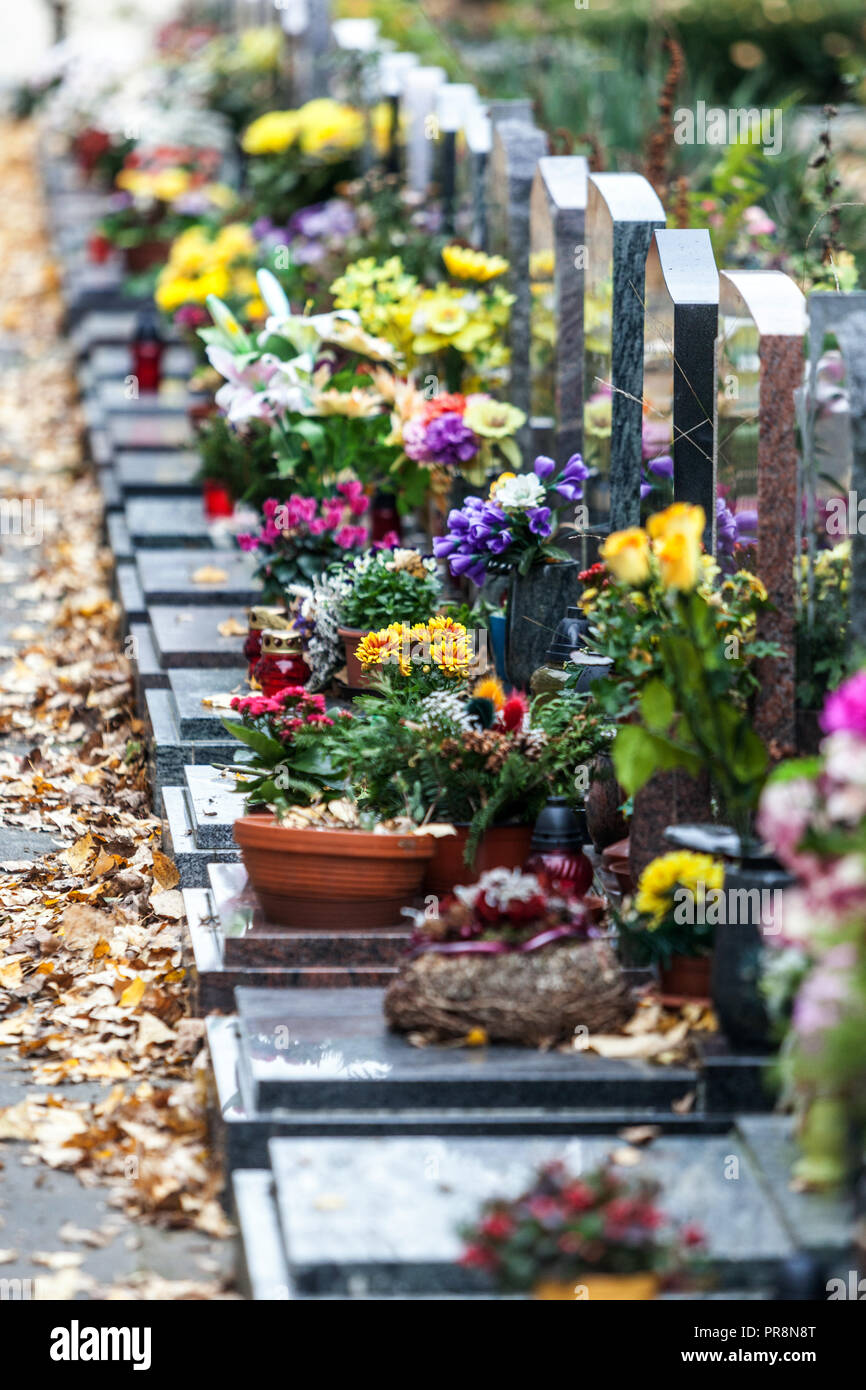 Décoration florale des tombes le jour de la Toussaint, République Tchèque le jour de l'âme toute l'Europe Banque D'Images