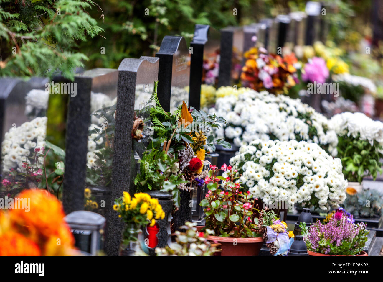 Décoration florale des tombes à l'occasion de la Journée de tous les âmes, République tchèque Journée de la Toussaint en Europe Banque D'Images