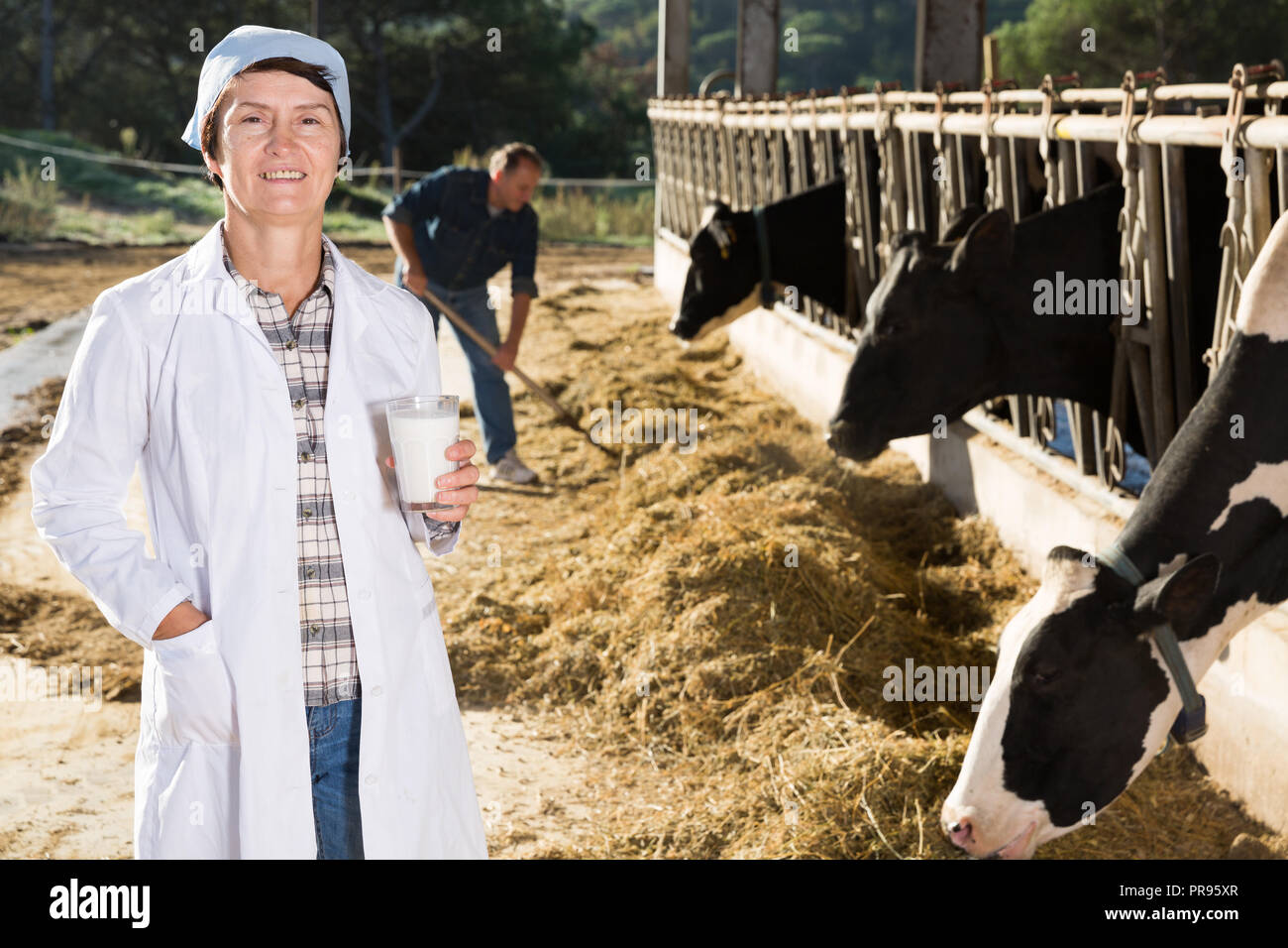 Portrait de femme mature avec du lait de vache vétérinaire à l'étable de ferme laitière Banque D'Images Portrait de femme mature avec du lait de vache vétérinaire à l'étable de ferme laitière Banque D'Images