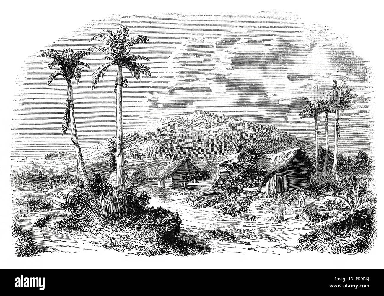 19ème siècle illustration du paysage de Guadeloupe, par Fontenay. Dessins originaux publiés dans le magasin Pittoresque par M. A. Lachevardiere, Pari Banque D'Images