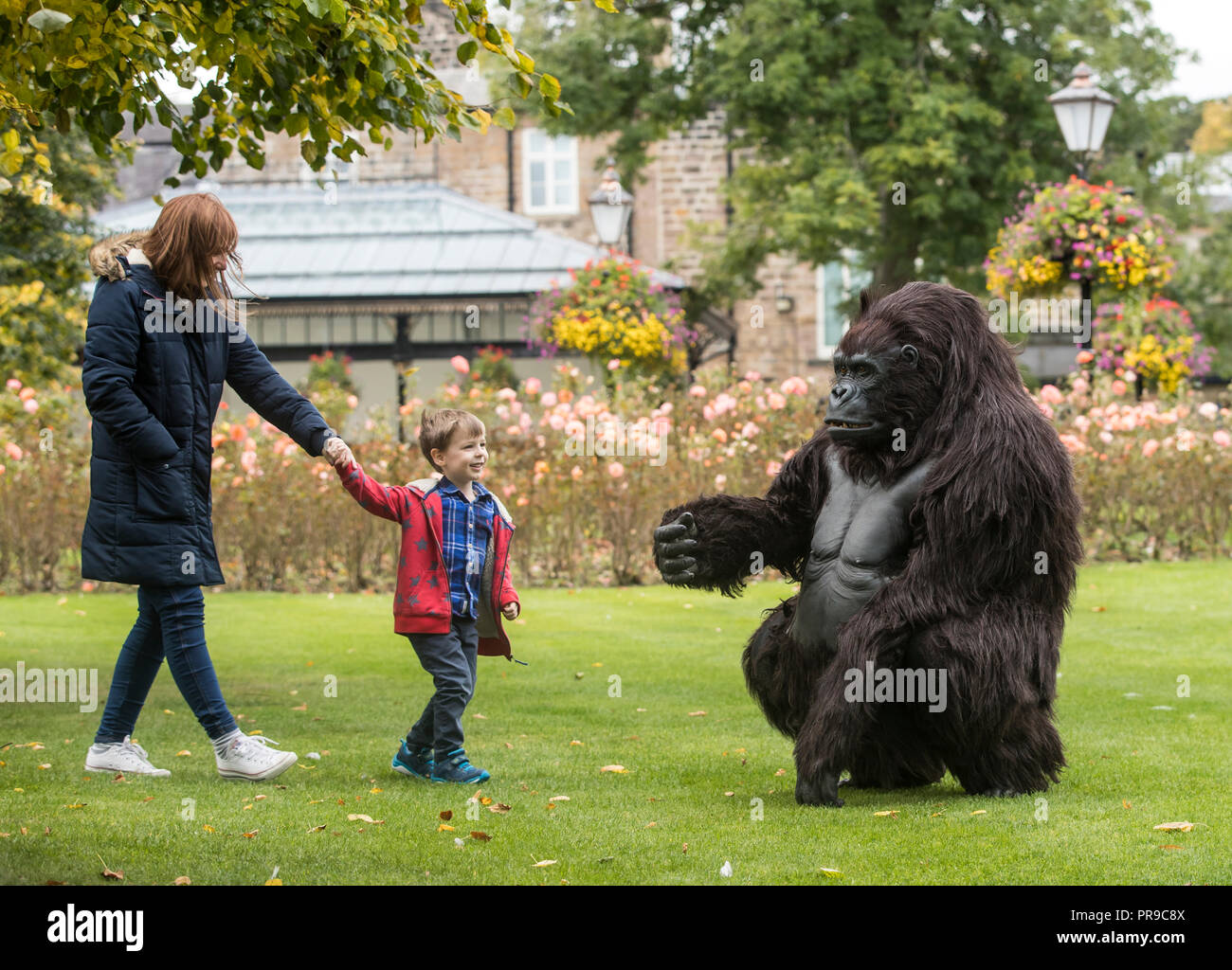 Theodore Kiaie interagit avec un gorille de montagne animatronique de taille réelle de Tourism Uganda lors du spectacle de voyage Wildlife & Safari au congrès de Harrogate à Harrogate, dans le Yorkshire. Banque D'Images