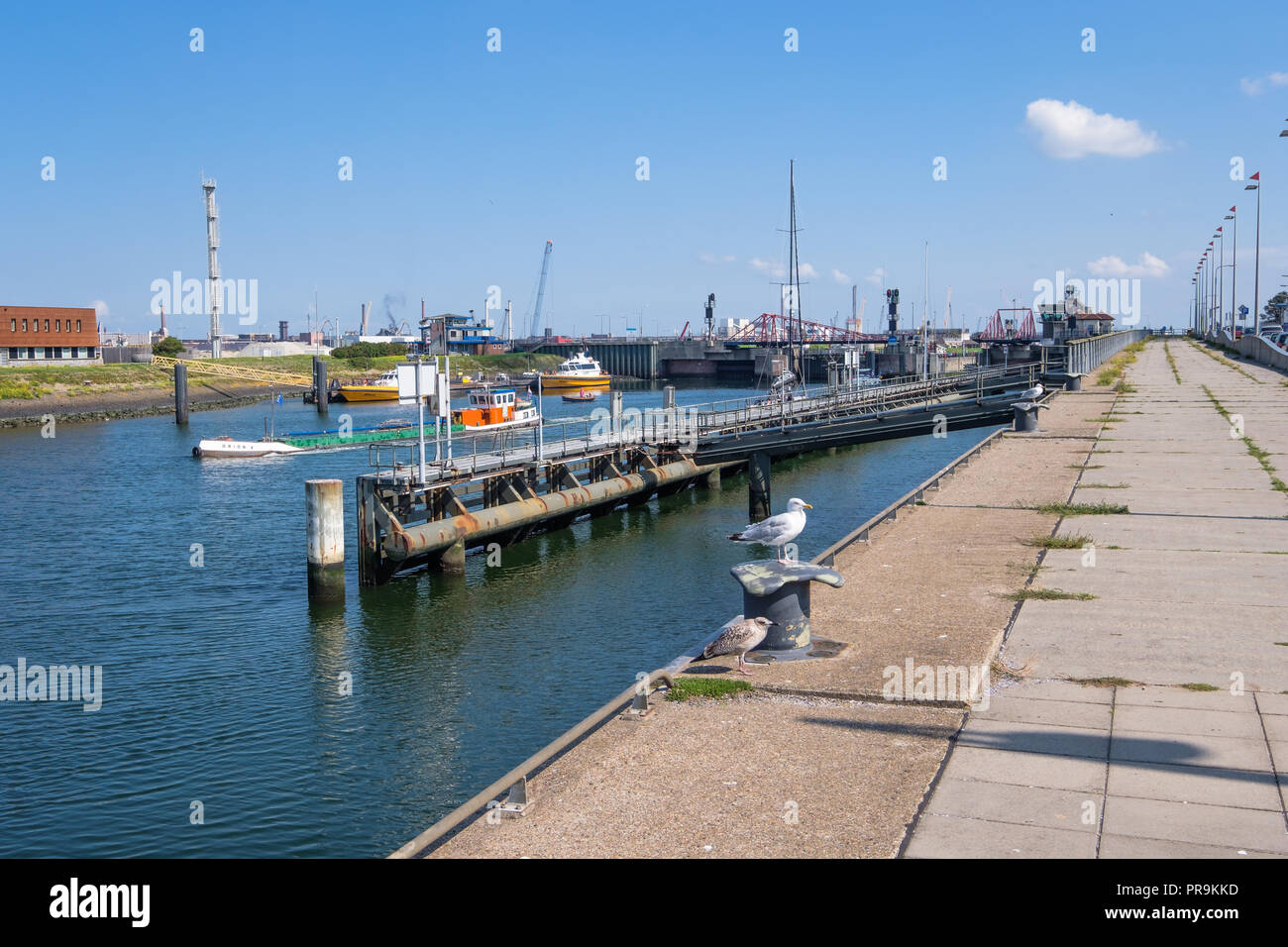 2 Bateaux pilotes sont en attente de l'arrivée d'un navire, de la mer et un bateau de navigation intérieure est la voile de la mer lock de IJmuiden (Pays-Bas). Banque D'Images