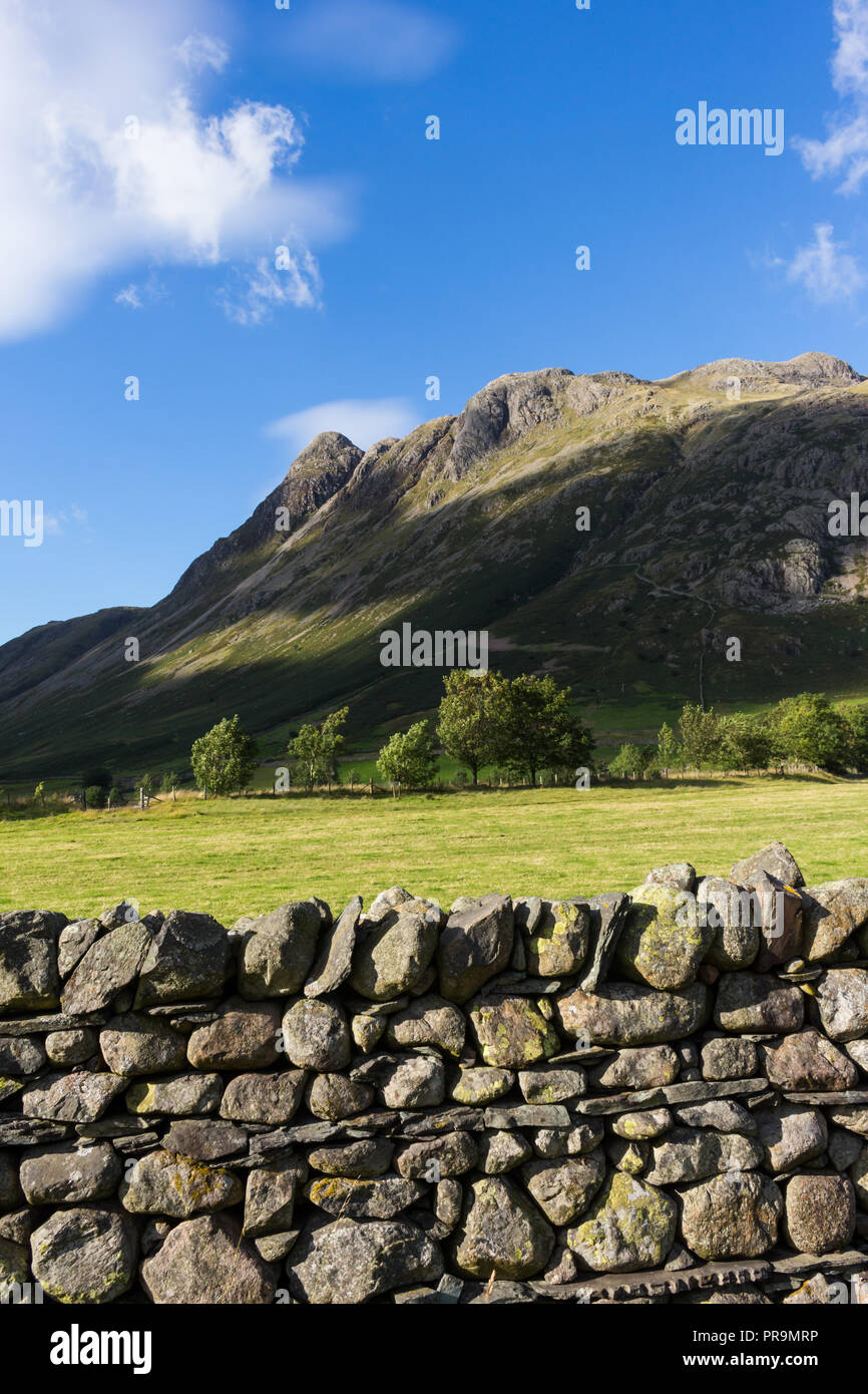 Le Langdale Pikes avec un mur en pierre en premier plan, Elterwater, Lake District, Cumbria, Angleterre. (Vertical) Banque D'Images