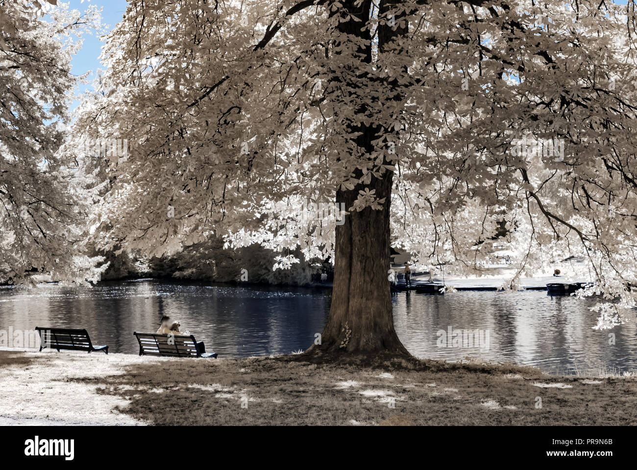 Parc public naturel à Strasbourg, vue dans l'infrarouge, journée ensoleillée, France Banque D'Images