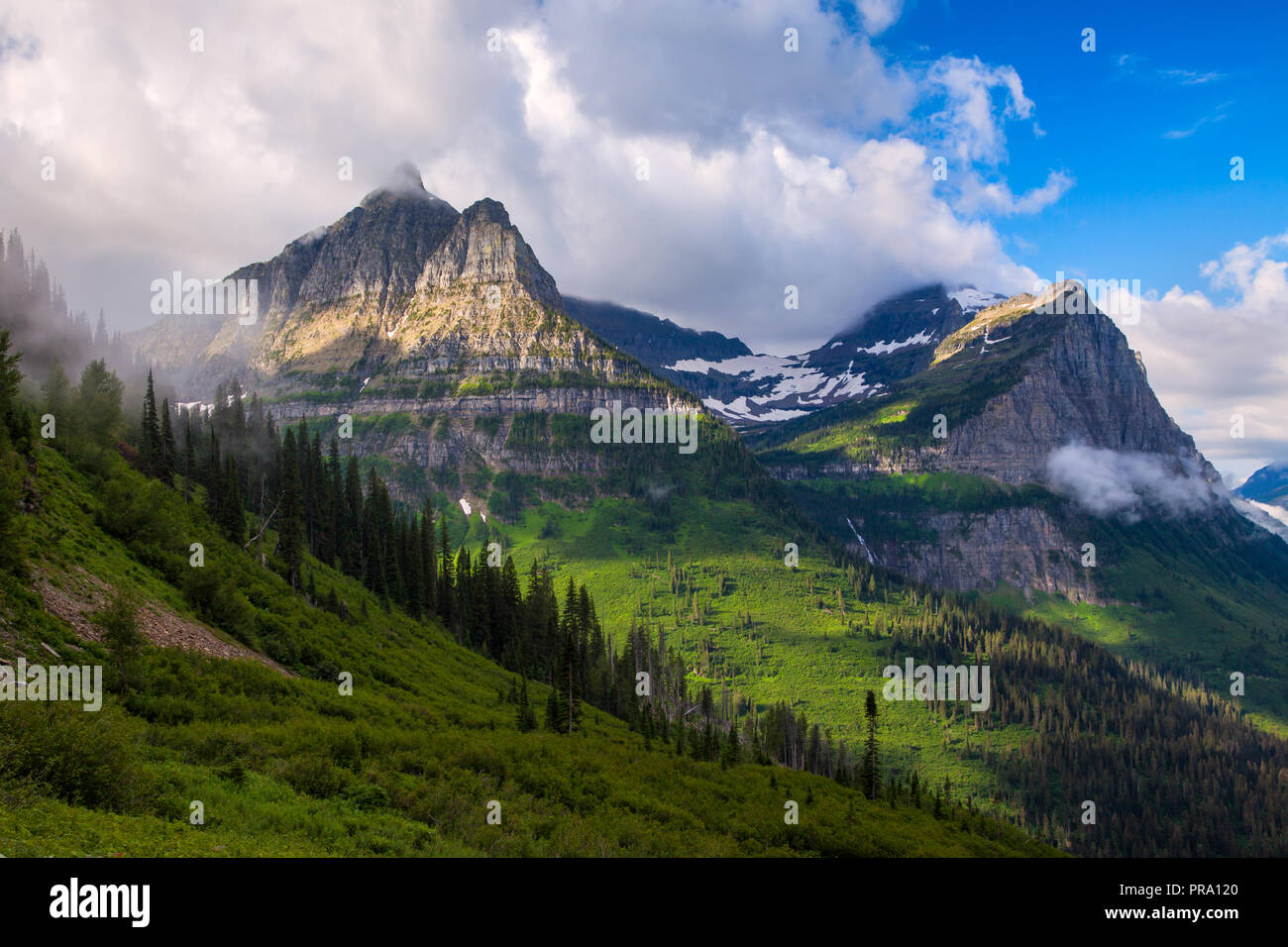 Vue sur les montagnes de Logan's Pass dans le parc national des Glaciers du Montana, USA Banque D'Images