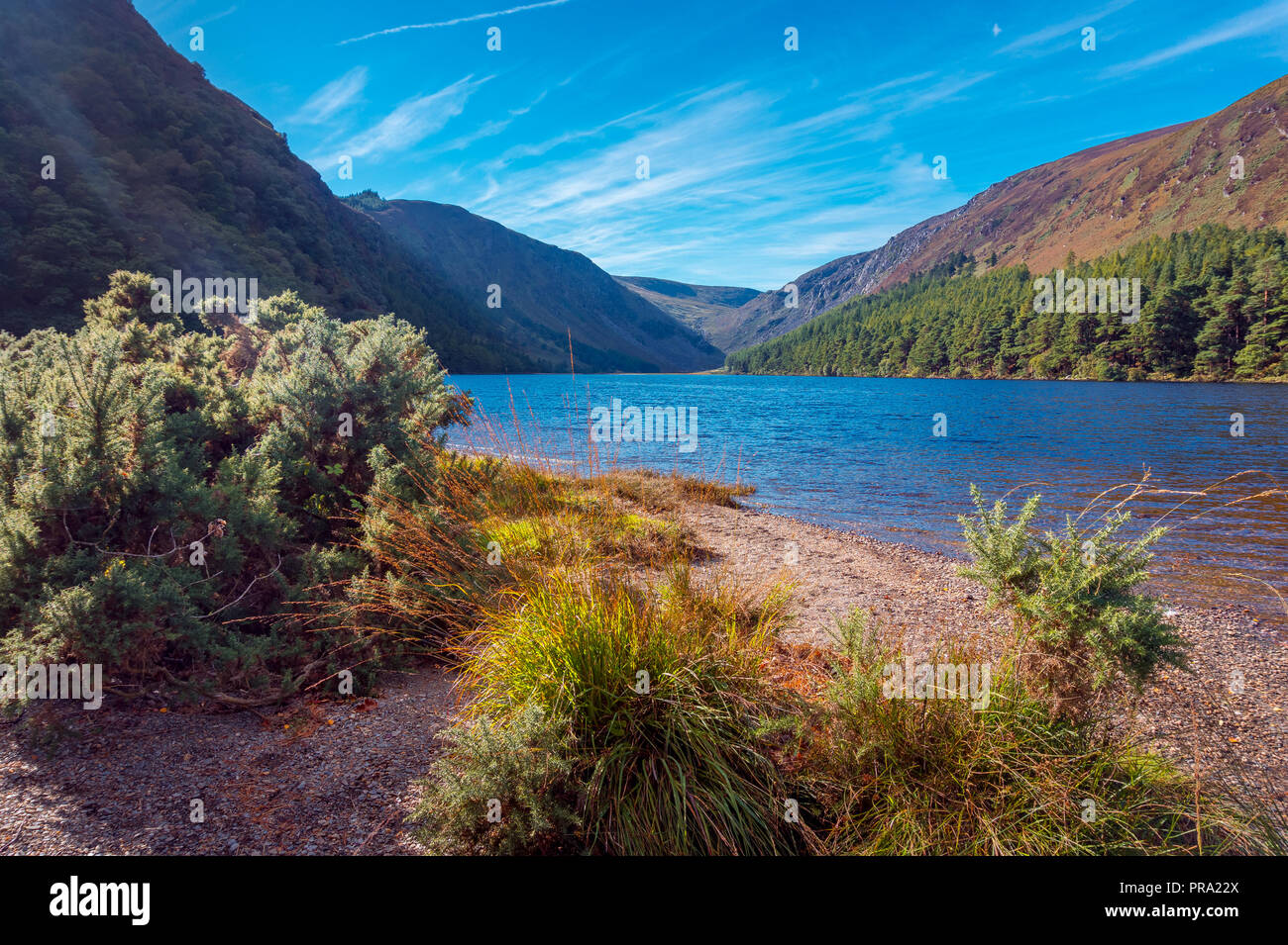 Matin au lac à Glendalough, Wicklow Mountains - Irlande Banque D'Images