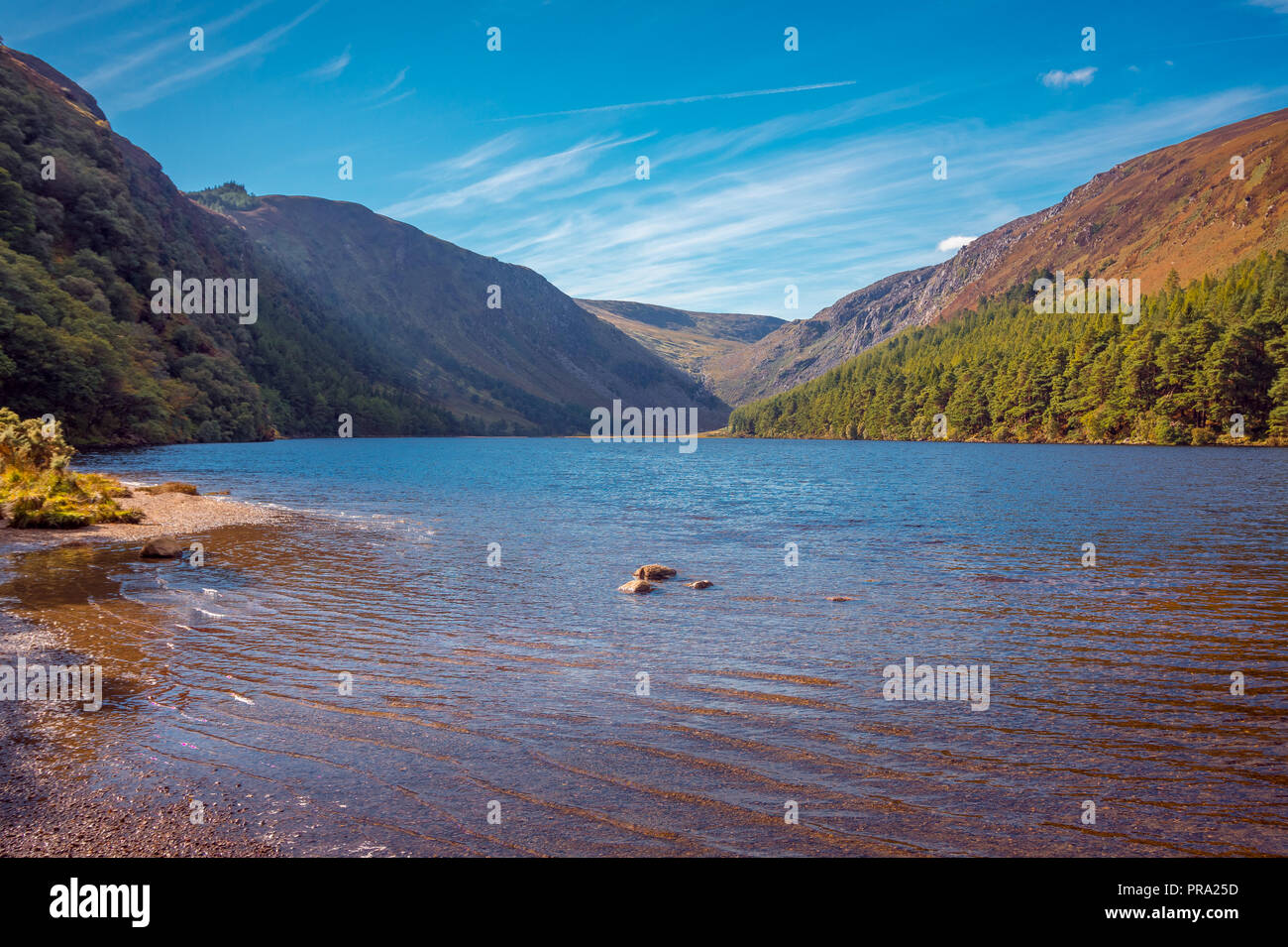 Matin au lac à Glendalough, Wicklow Mountains - Irlande Banque D'Images