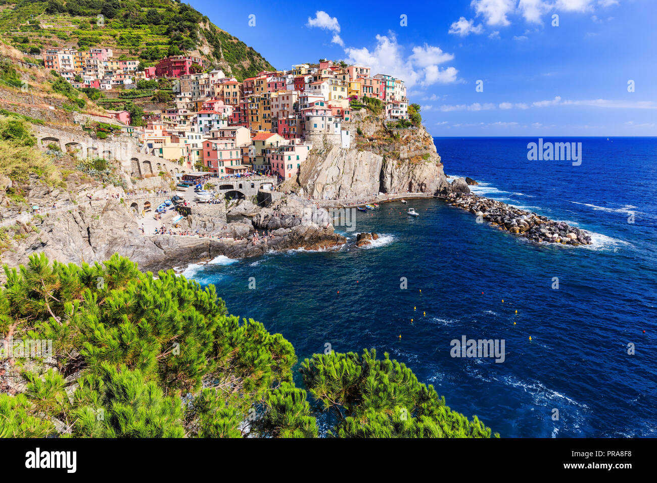 Manarola village du Parc National des Cinque Terre, la Ligurie en Italie. Banque D'Images