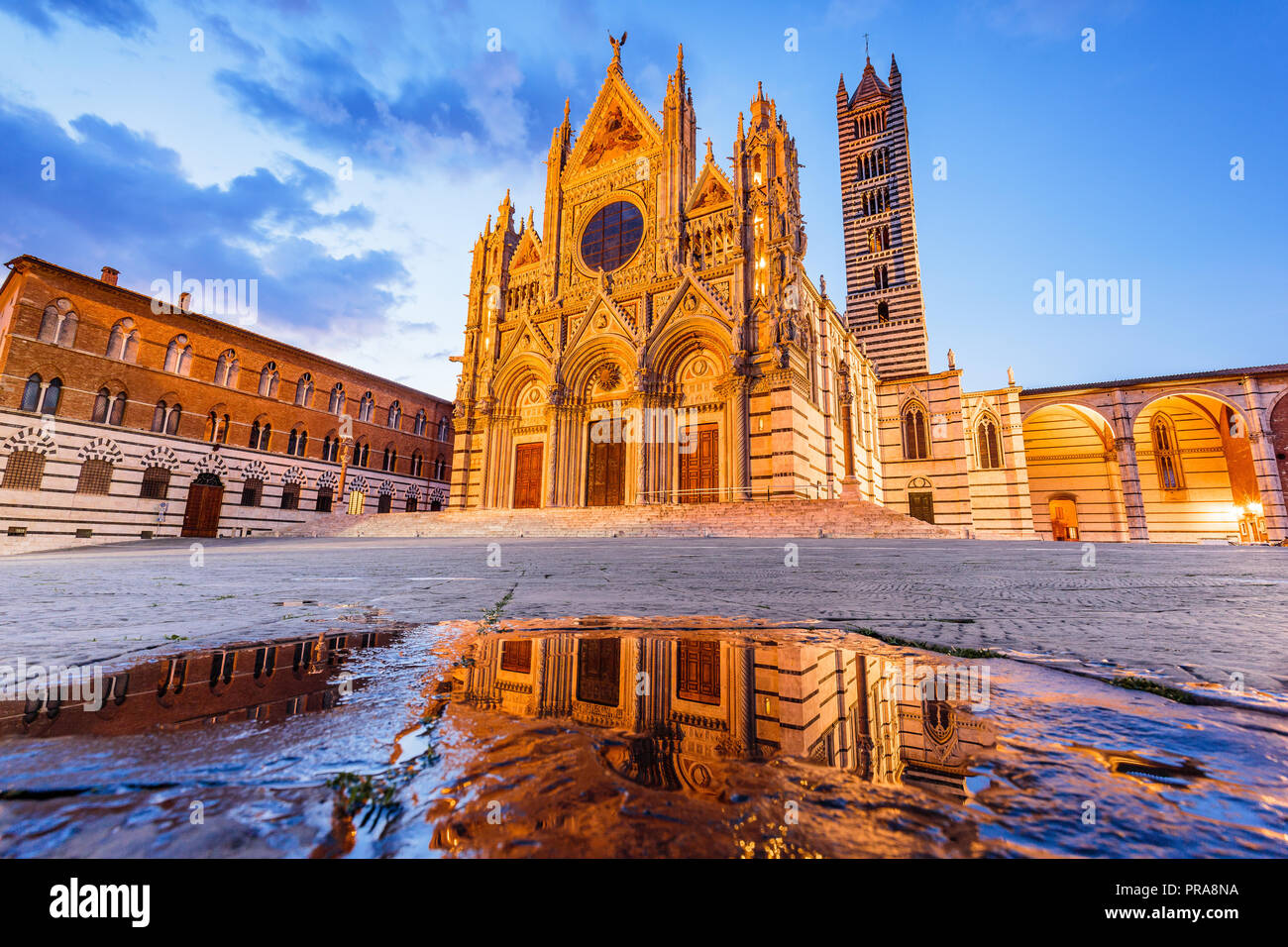 Sienne, Italie. La Cathédrale de Sienne (Duomo di Siena) au crépuscule. Banque D'Images