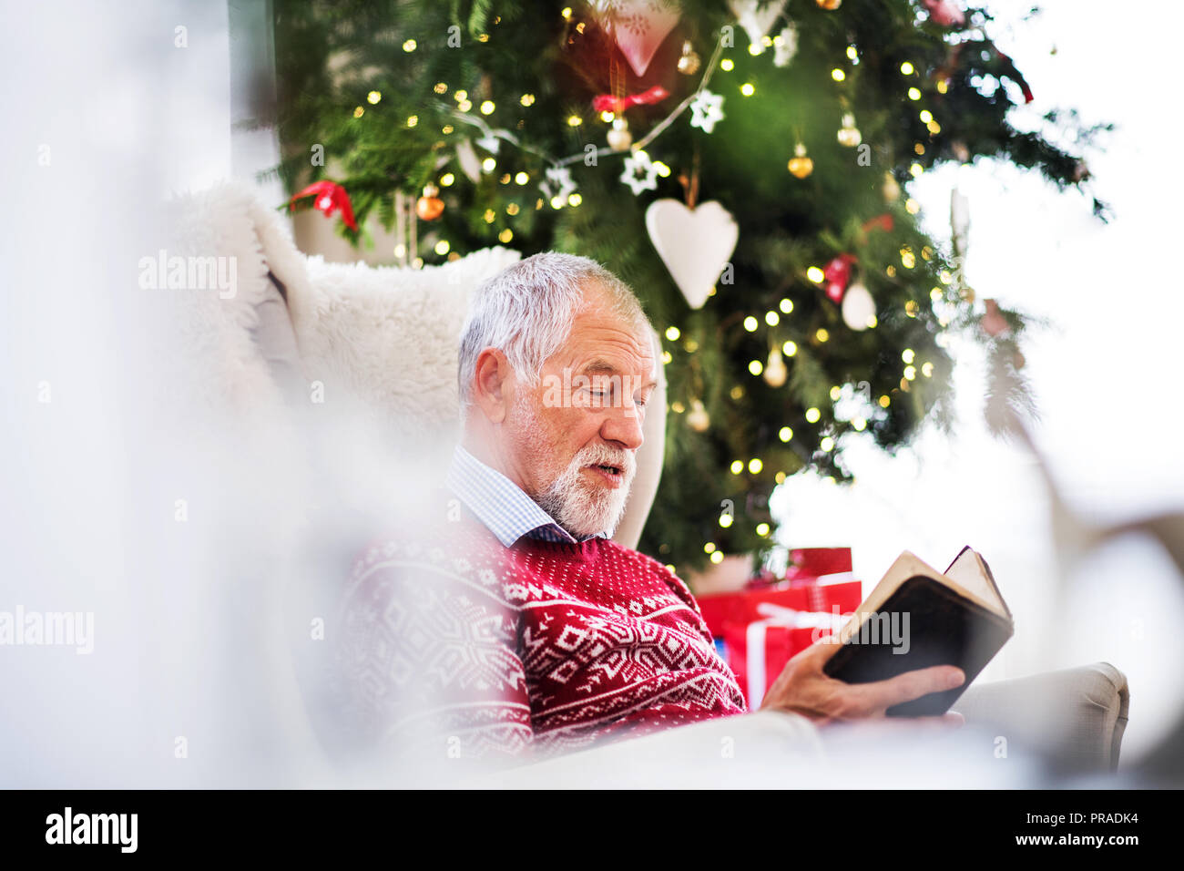 A la lecture d'un livre à la maison au moment de Noël. Banque D'Images