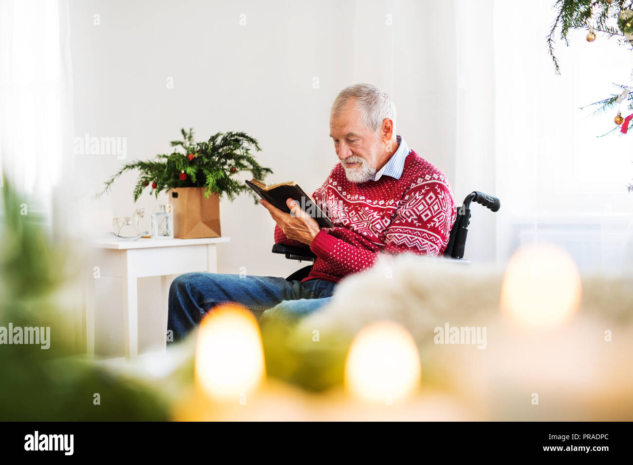 A senior man in wheelchair lire un livre à la maison au moment de Noël. Banque D'Images
