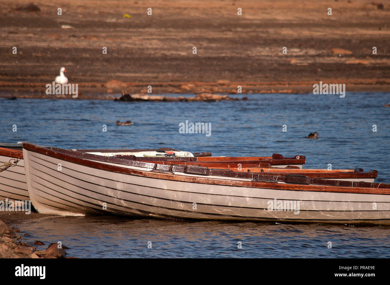 Barques sur le réservoir près de Parkhead Station, Tunstall dans Weardale, comté de Durham. Banque D'Images