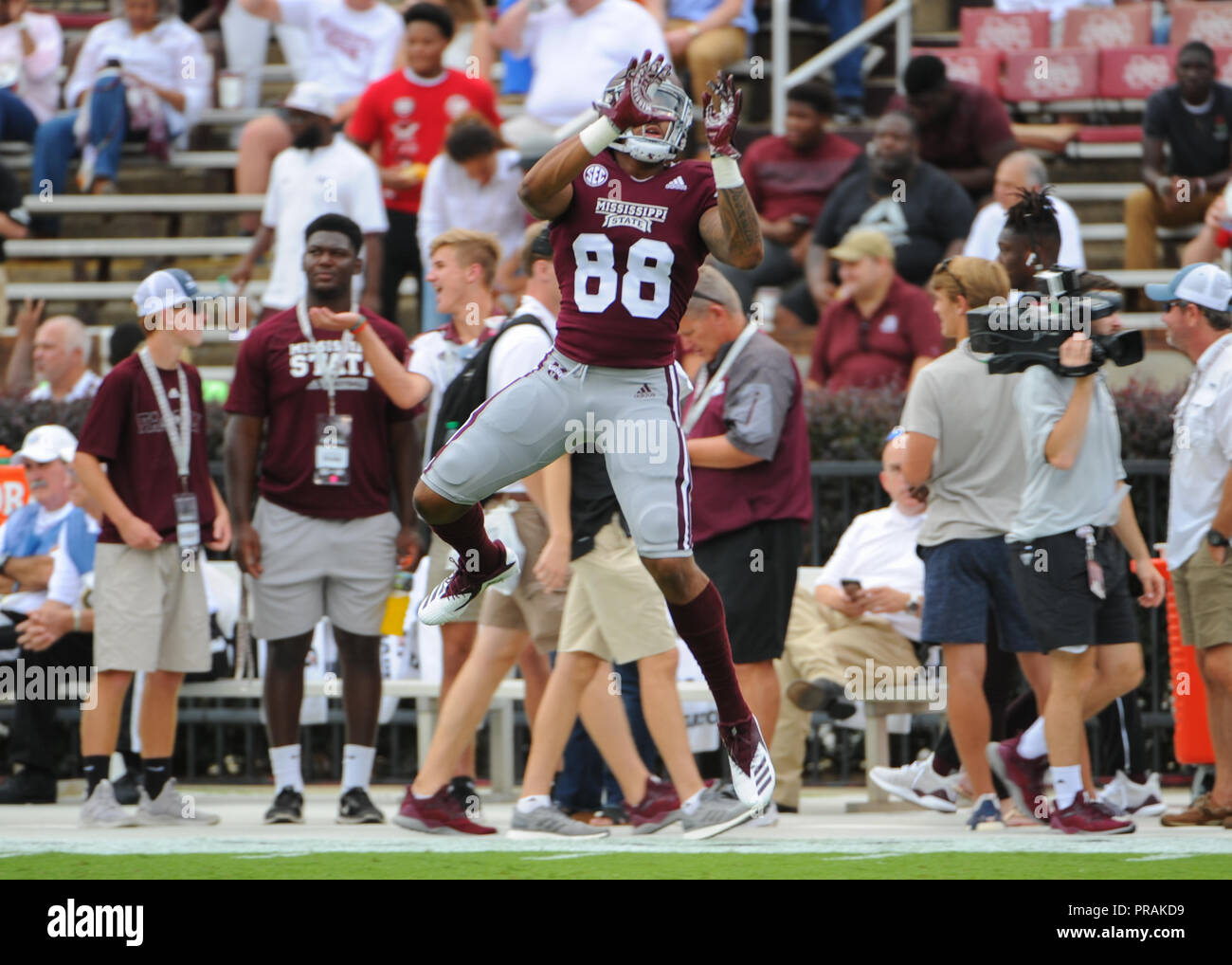 Starkville, MS, États-Unis d'Amérique. Sep 29, 2018. TE MSU, POUVOIRS WARREN (88), sauts jusqu'à la transmission, au cours de NCAA football action au stade Wade Davis à STARKVILLE, MS. L'État du Mississippi, la Floride a battu 13-6. Kevin Langley/CSM/Alamy Live News Banque D'Images