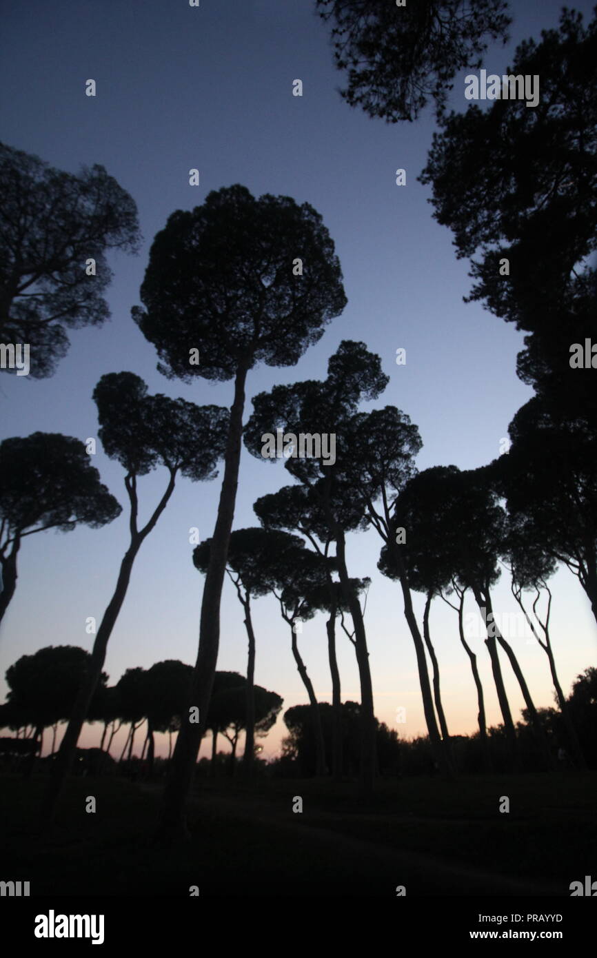 Rome, Italie. Sep 30, 2018. Les gens dans le parc de la Villa Doria Pamphili au coucher du soleil à Rome, Italie : Gari Crédit Wyn Williams/Alamy Live News Banque D'Images