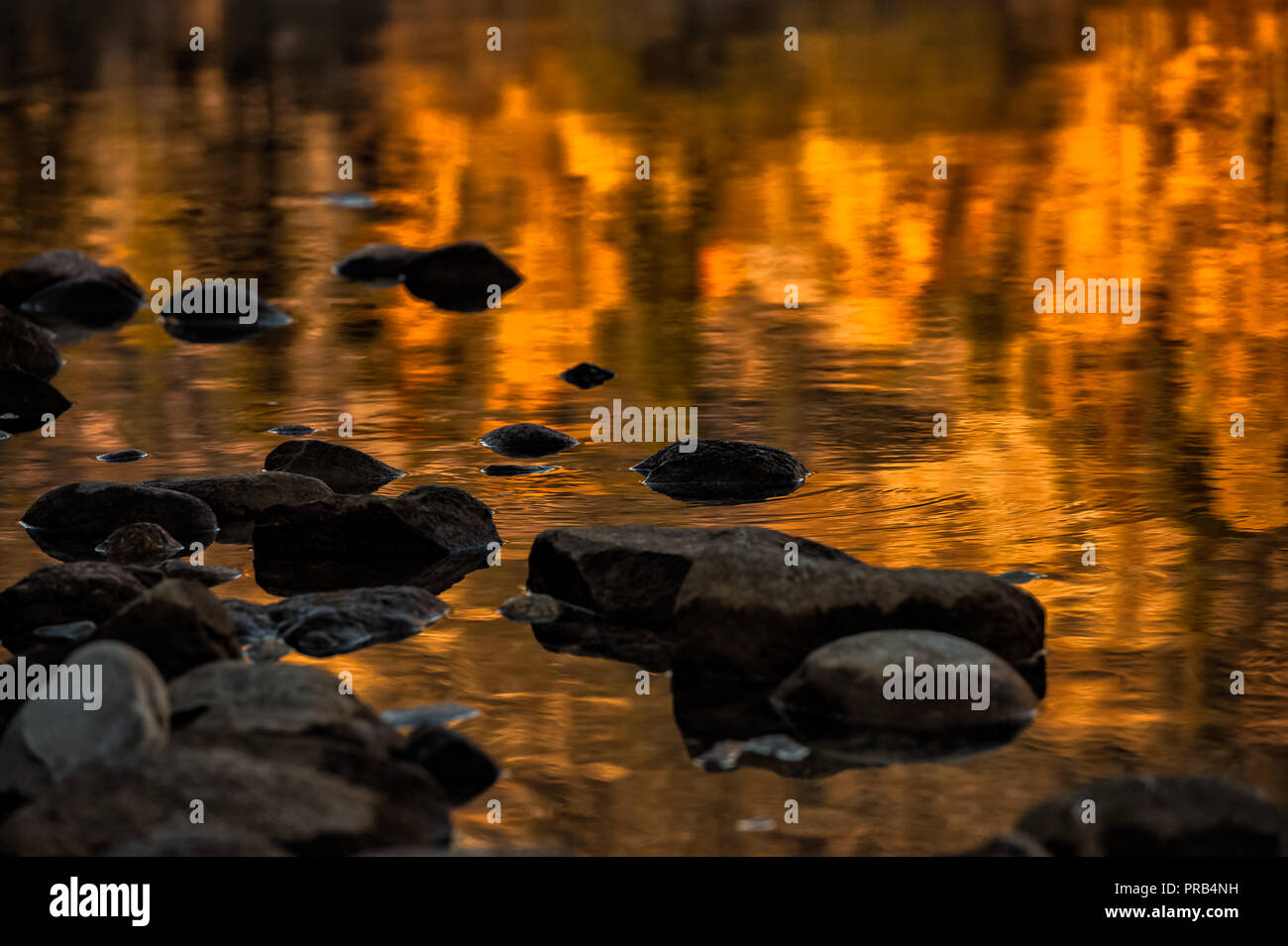 Les couleurs de l'automne feuillage environnant reflète dans l'eau calme de Jenny Lake à Grand Teton National Park Banque D'Images
