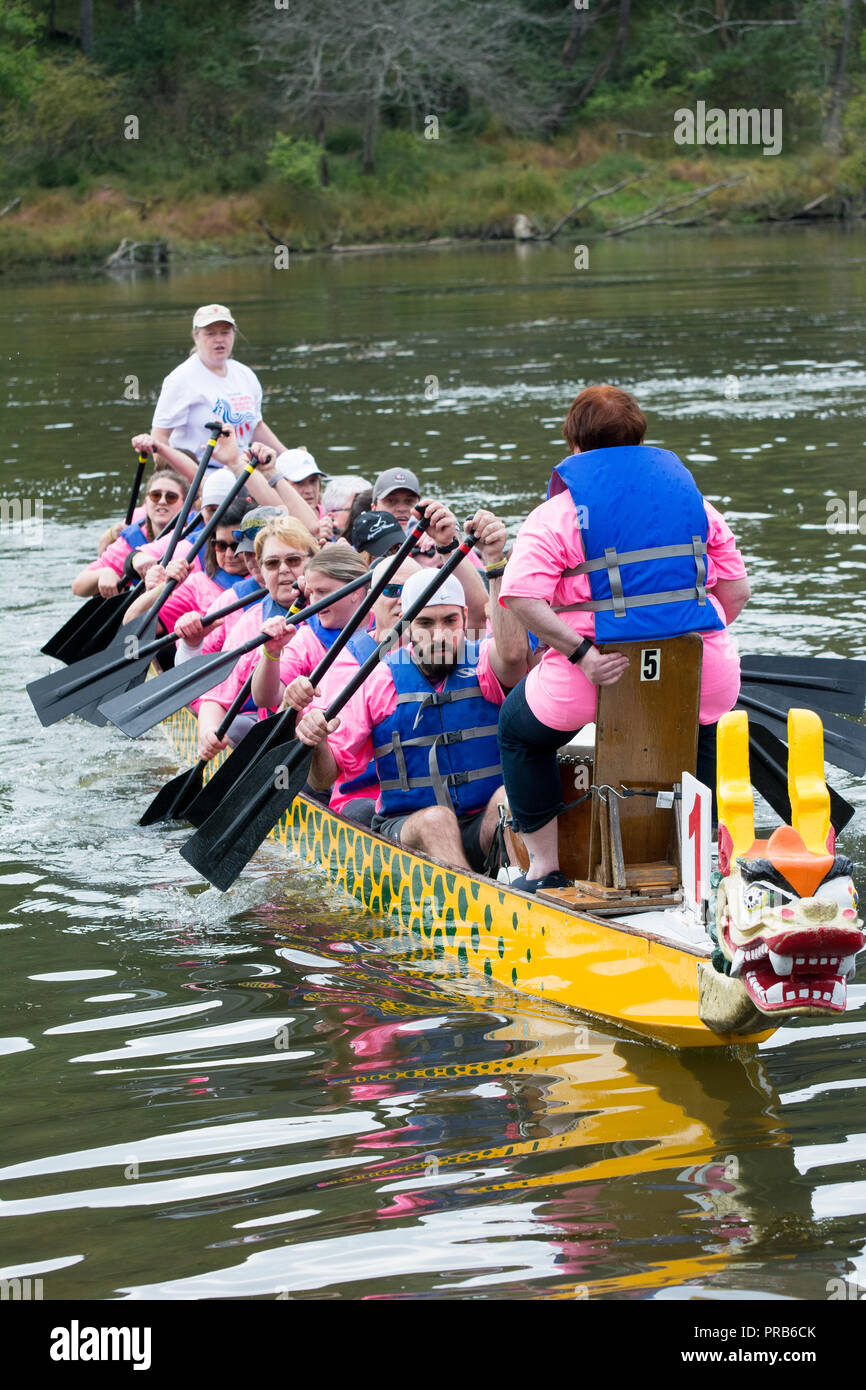 Dragon Boat Race Festival Dragonboat 2018, Pittsburgh, Pittsburgh, Pennsylvanie, USA Banque D'Images