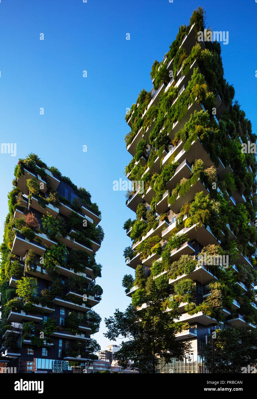 L'Europe, Italie, Lombardie, Milan, Puorta Nuova quartier des affaires et commercial, Bosco Verticale eco construction Banque D'Images