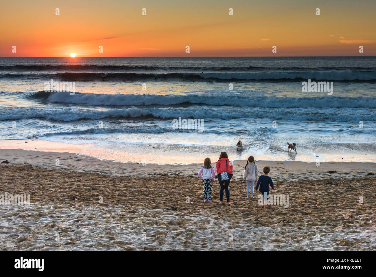 Une femme et trois enfants jouant avec des chiens alors que le soleil se couche sur la plage de Fistral à Newquay en Cornouailles. Banque D'Images