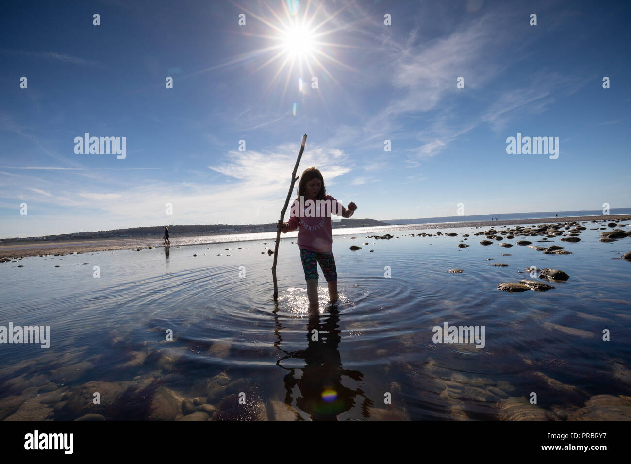 Chasse au trésor en rockpools sur la plage dans le Devon pendant les vacances Banque D'Images