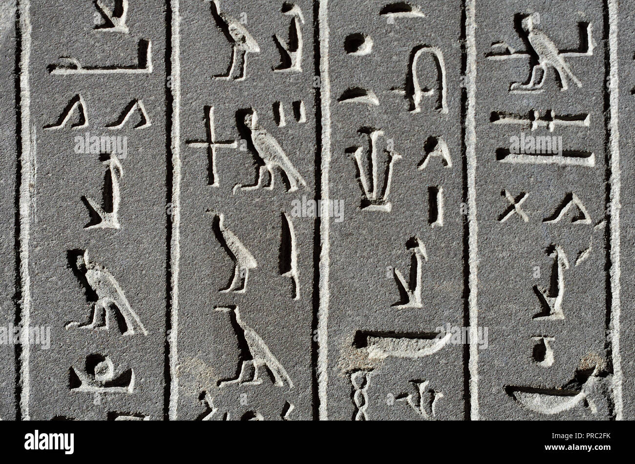 Les hiéroglyphes égyptiens sur le sarcophage de l'épouse de "Dieu" Ankhnesneferiba. 'Fin' (664-332 BC) British Museum, Bloomsbury, Londres, Angleterre, U Banque D'Images