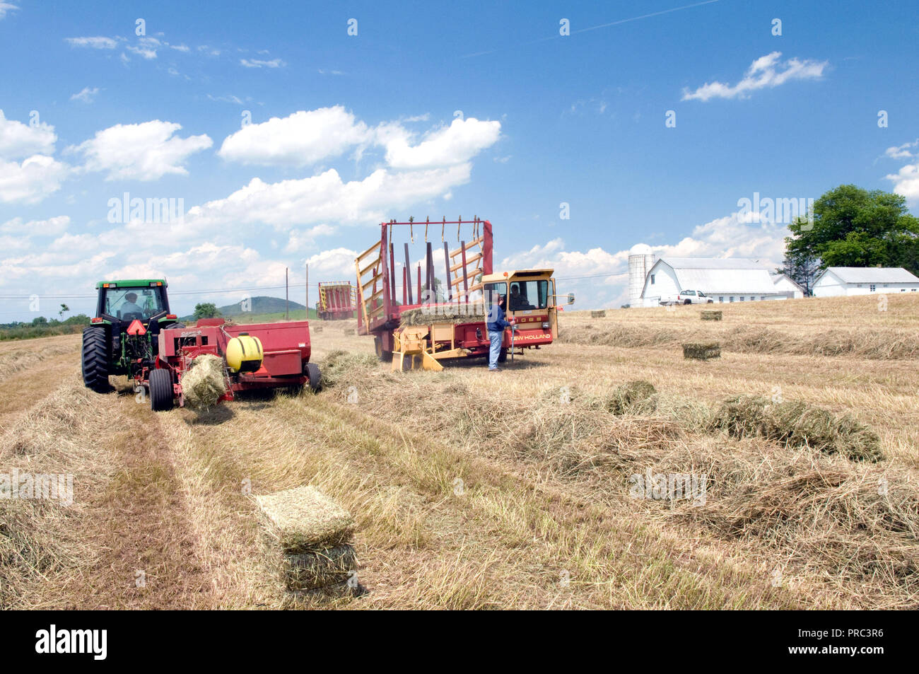 Tracteur John Deer dans un domaine où les agriculteurs font des bottes de foin carré Banque D'Images