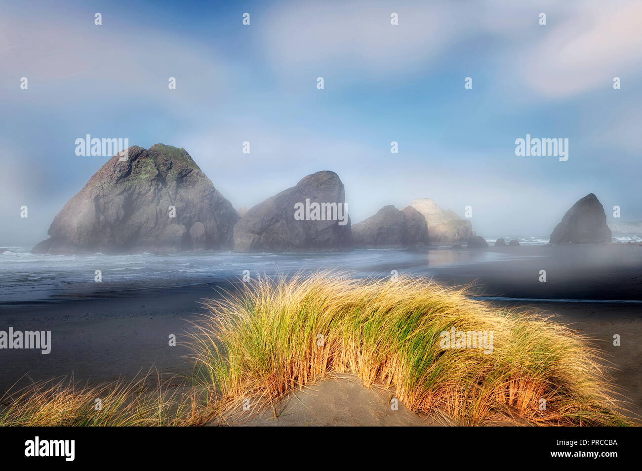 Le brouillard et l'herbe des dunes au Cap Sabastian. Oregon Banque D'Images