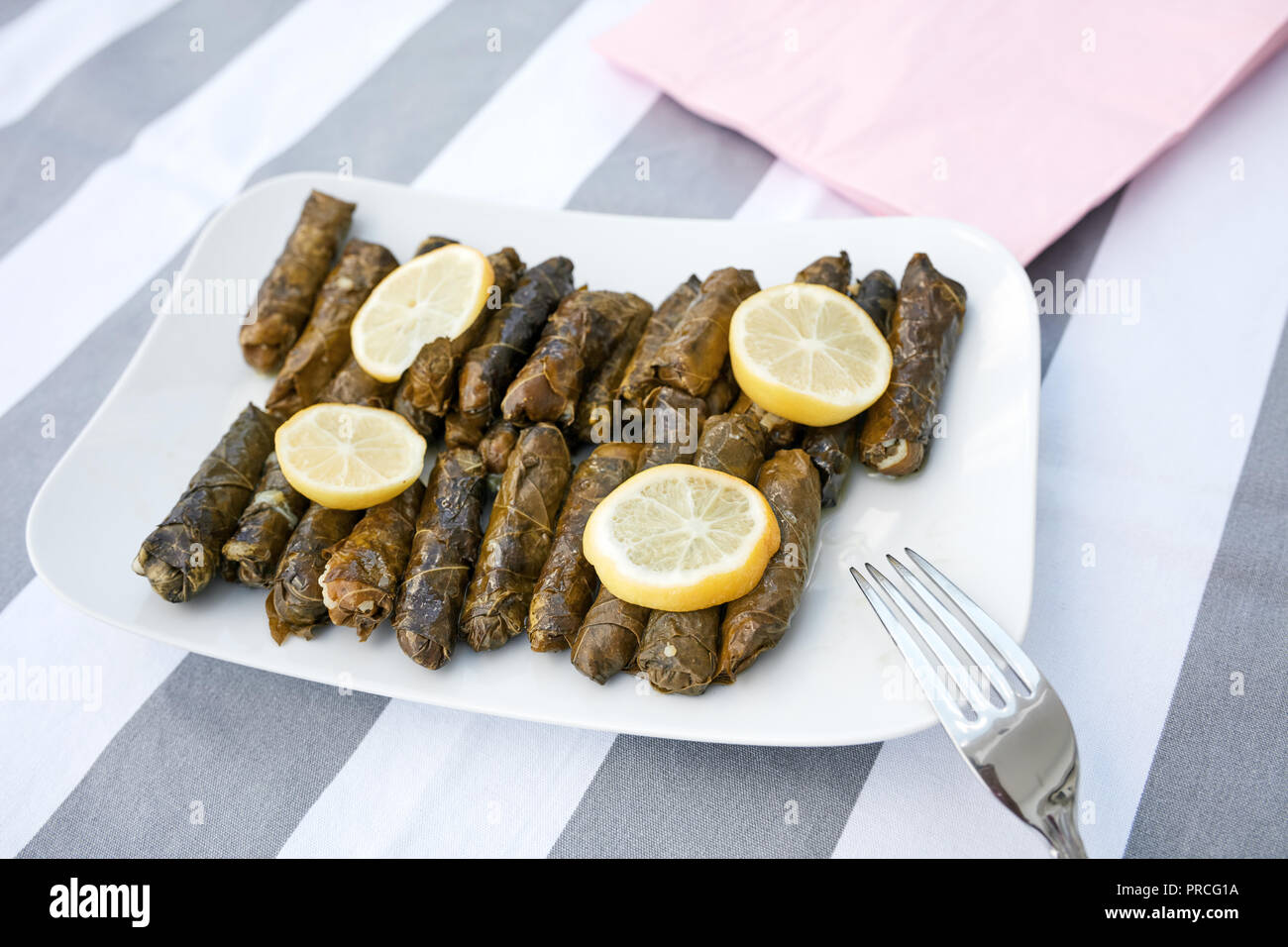 Feuilles de vigne farcies avec de l'huile d'olive et de tranches de citron servi dans une assiette de porcelaine blanche. Yaprak dolmasi Zeytinyagli. Banque D'Images