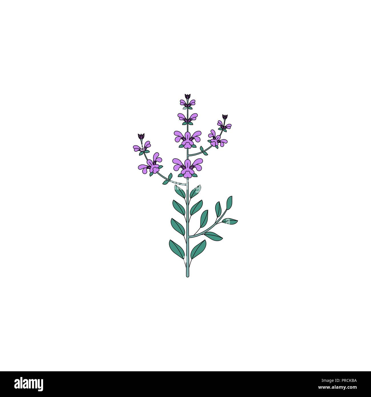 L'icône de plantes médicinales Illustration de Vecteur