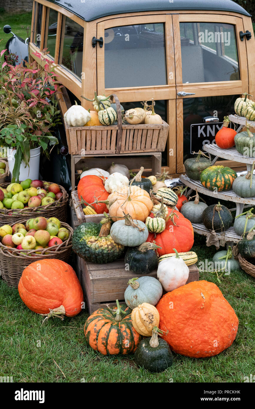 Citrouille, courge courge et affichage à l'arrière d'un vintage 1950 Bentley estate voiture à Daylesford Organic farm shop festival d'automne. Cotswolds, Royaume-Uni Banque D'Images