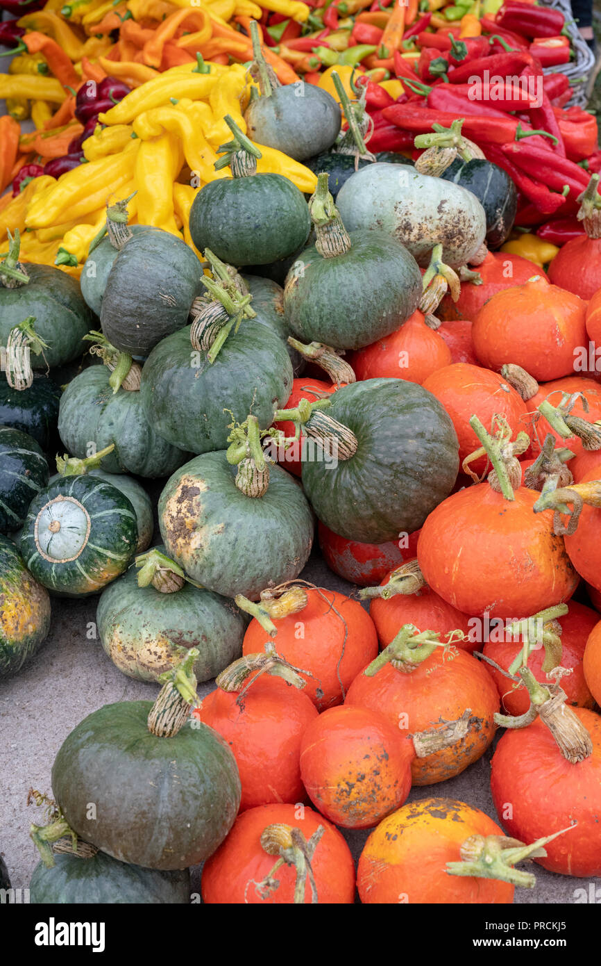 Citrouille, courge courge et affichage à Daylesford Organic farm shop festival d'automne. Daylesford, Cotswolds, Gloucestershire, Angleterre Banque D'Images