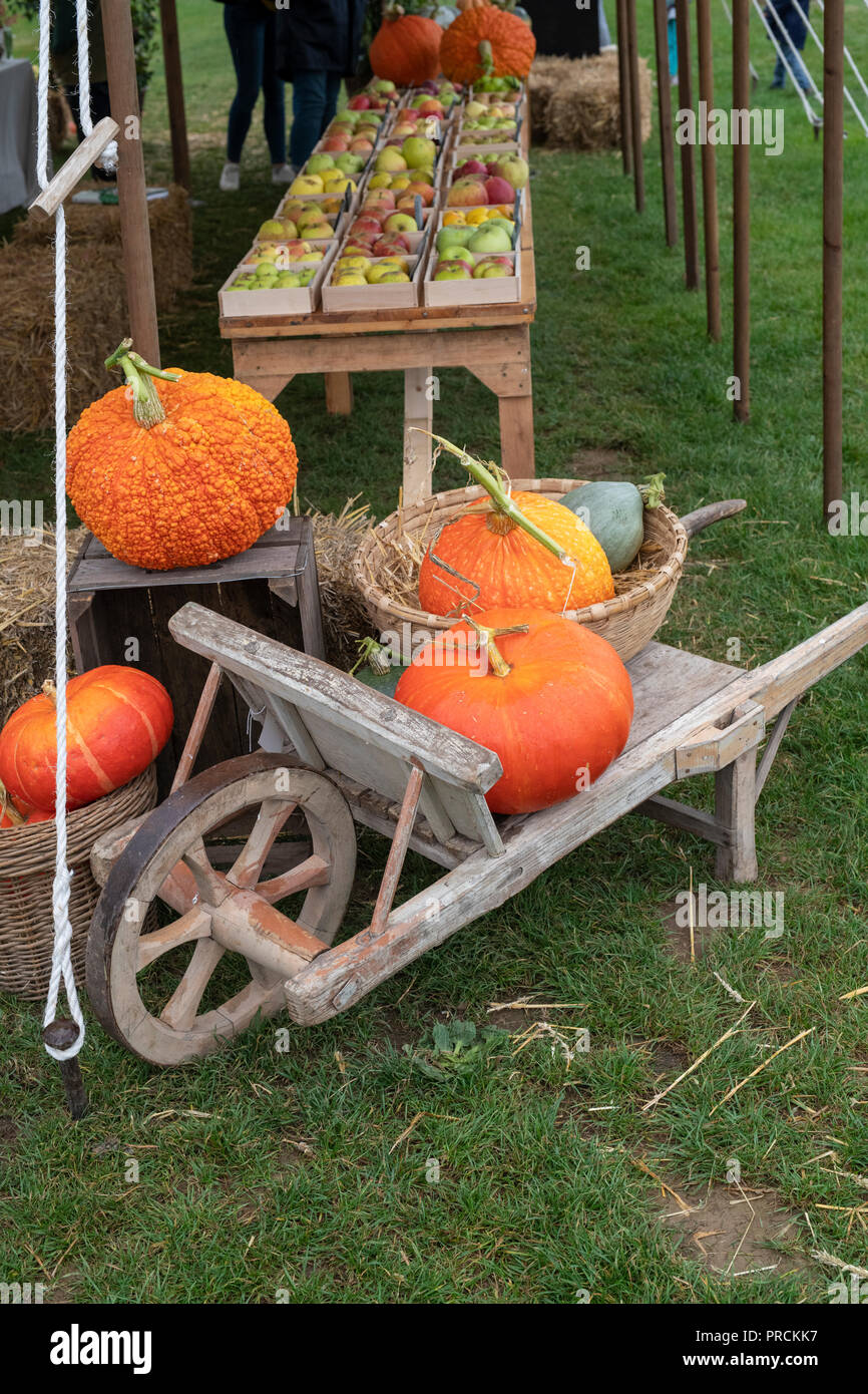 Citrouille, courge courge et affichage à Daylesford Organic farm shop festival d'automne. Daylesford, Cotswolds, Gloucestershire, Angleterre Banque D'Images