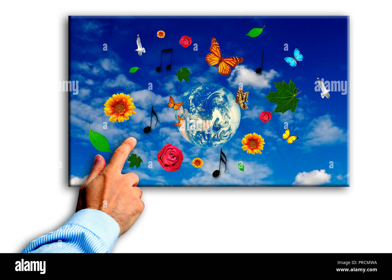La main de l'homme touchant un écran avec diverses fleurs, papillons et oiseaux, concept pour le choix d'une belle planète Terre et avenir Banque D'Images