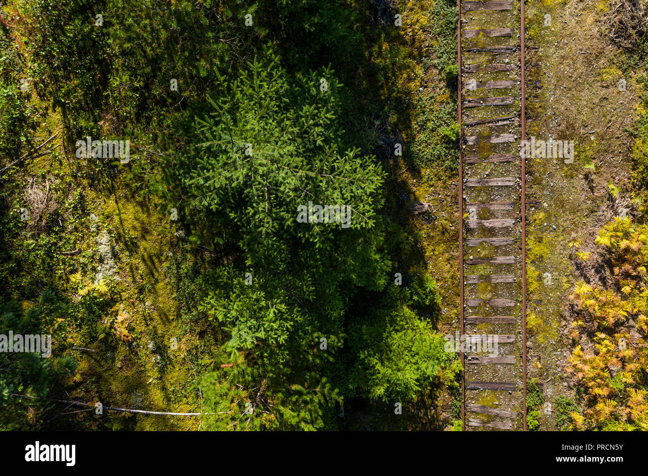 Vue aérienne d'une voie ferrée entre forêt Banque D'Images