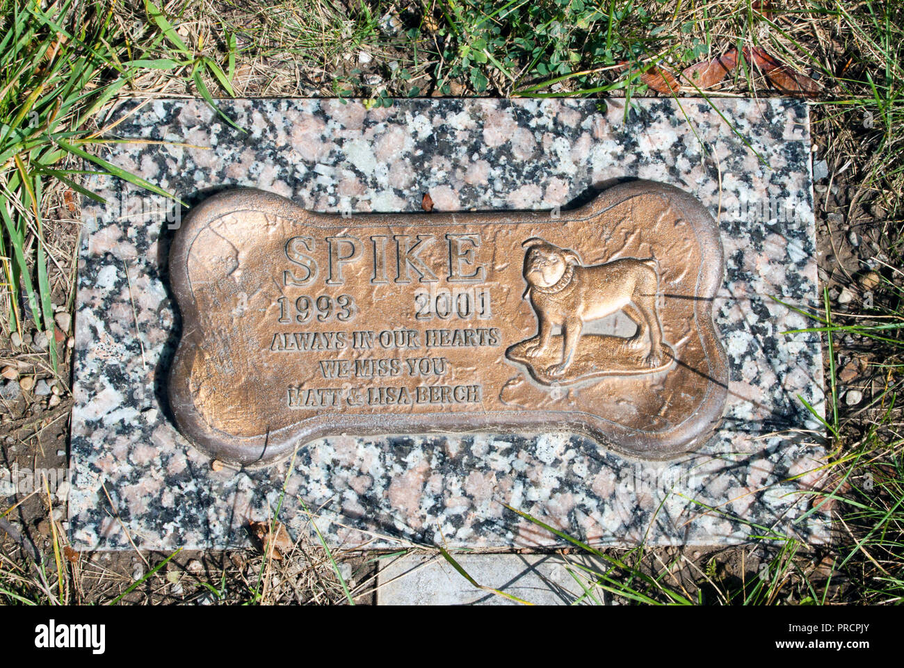 United Memorial Gardens Cimetière des animaux à Plymouth (Michigan) Banque D'Images